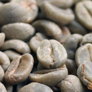 コーヒー生豆をネット販売 自社焙煎用の生豆を小分け