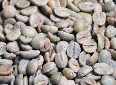 画像2: コーヒー生豆【１００ｇ】サントスＮｏ．２＃１７／１８　ブラジル