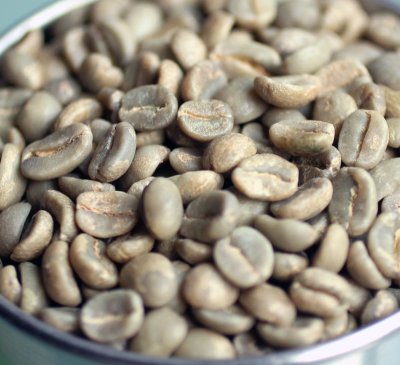 画像2: コーヒー生豆　グァテマラＳＨＢアカティナンゴ　1kg