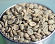 画像6: コーヒー生豆　グァテマラＳＨＢアカティナンゴ　1kg (6)